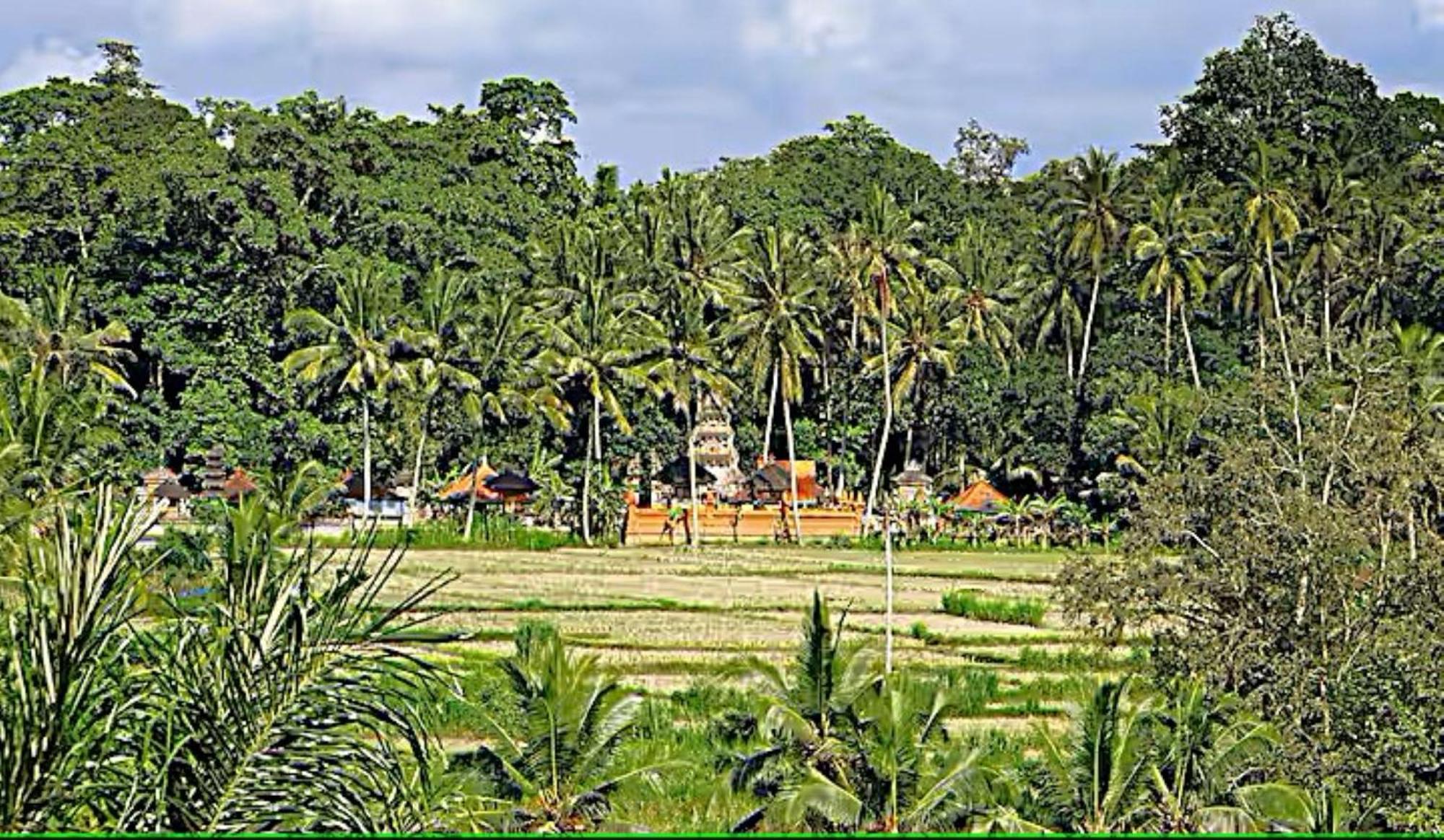 Villa Ria Sayan 우붓 외부 사진